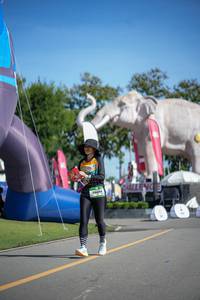 BIB: 
                            <button type="button" onclick="openModal(26543341)" class="btn btn-primary btn-sm float-right btn-popup" data-toggle="modal" data-target=".modal-high-quality">
                        <i class="fas fa-shopping-cart"></i> Add to Cart
                    </button>
                                            <button type="button" onclick="isThisMe(26543341, true)" class="btn btn-success btn-sm float-right btn-popup btn-isme hidden" data-toggle="tooltip" data-placement="bottom" title="นี่คือรูปของคุณใช่ไหม คลิกที่นี่เพื่อเอาเข้าอัลบั้ม">
                        <i class="fas fa-plus"></i> Add to album
                    </button>
                    <button type="button" onclick="isThisMe(26543341, false)" class="btn btn-warning btn-sm float-right btn-popup btn-isnotme hidden">
                        <i class="fas fa-ban"></i> Remove from album
                    </button>